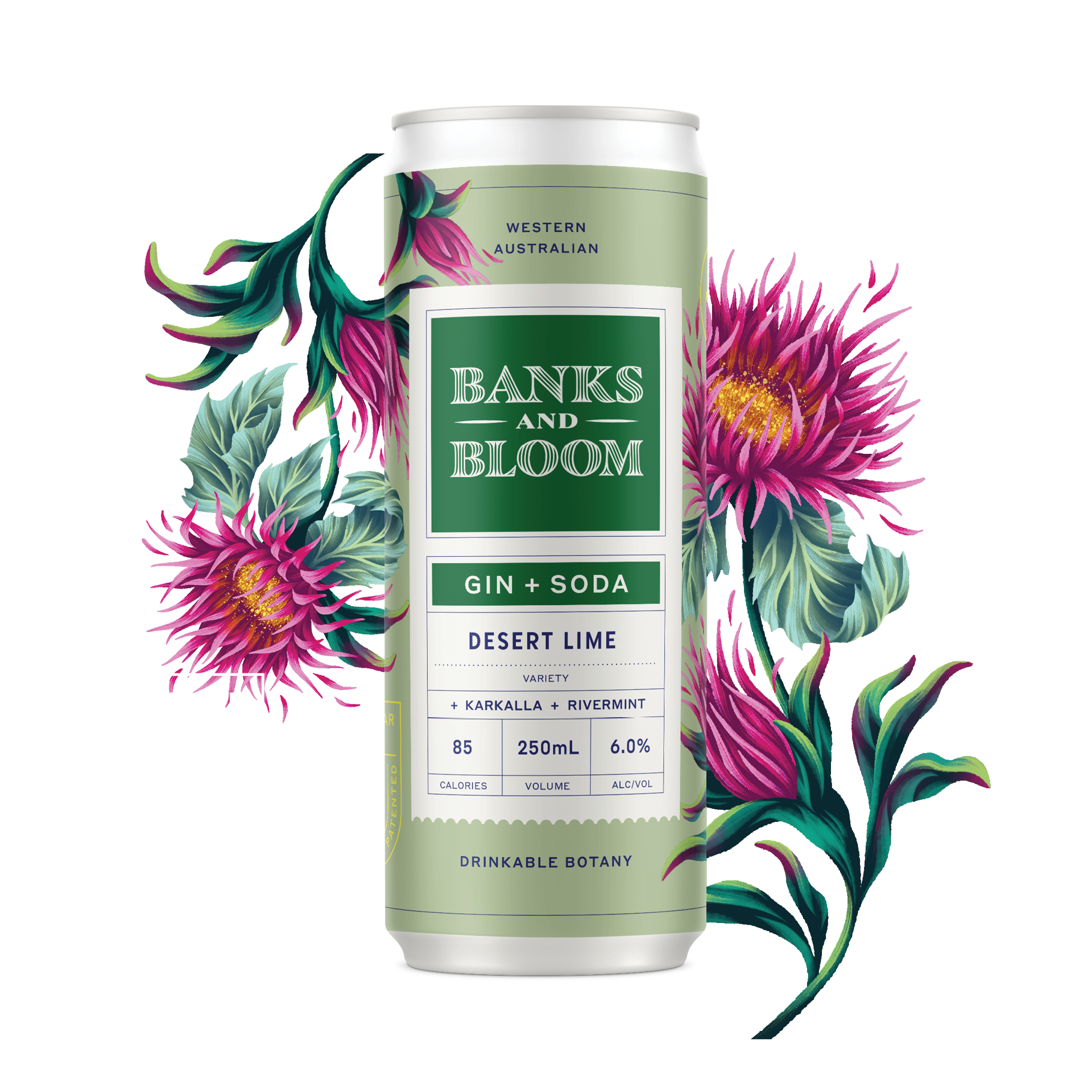 Gin + Soda Desert Lime 250mL x 24
