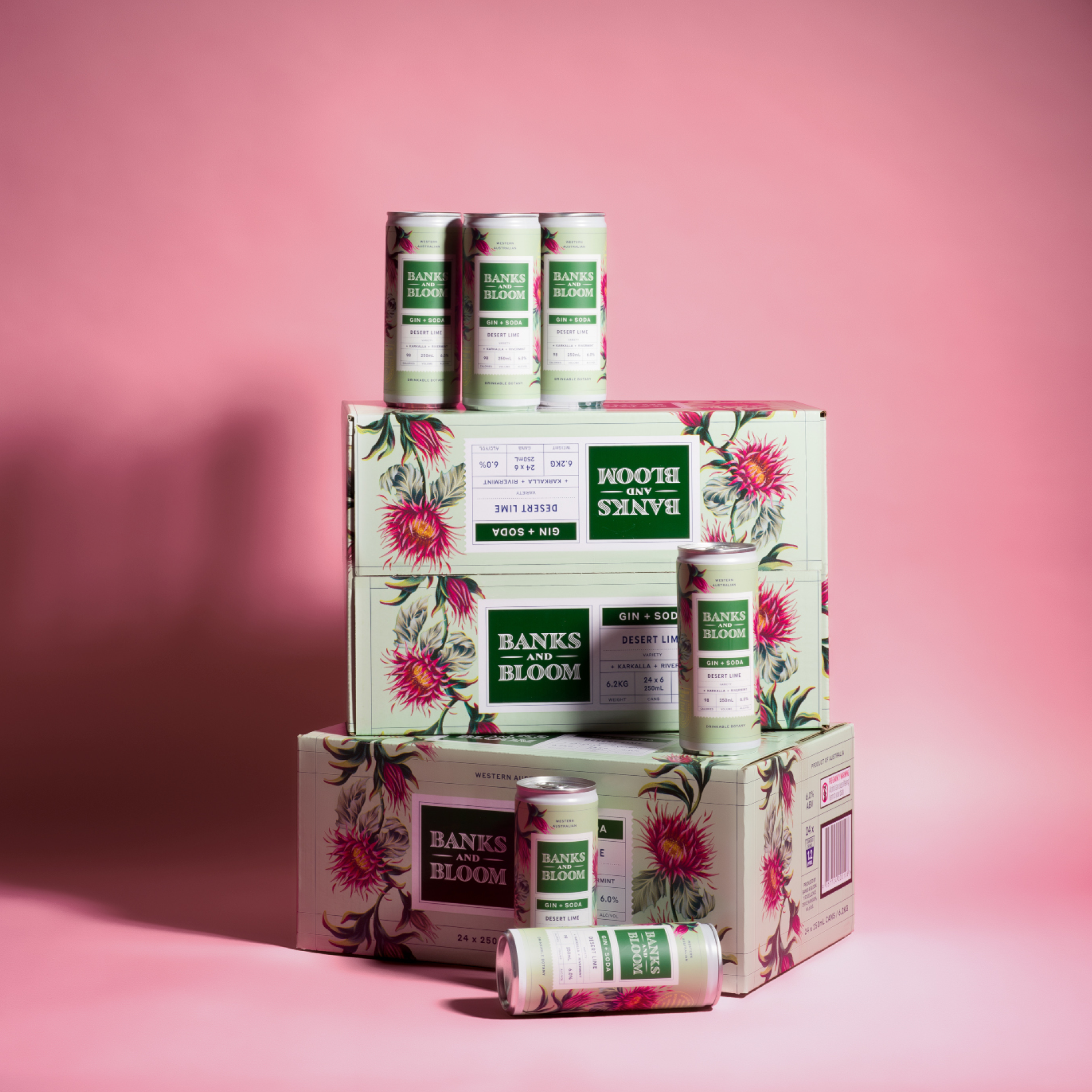 Gin + Soda Desert Lime 250mL x 24