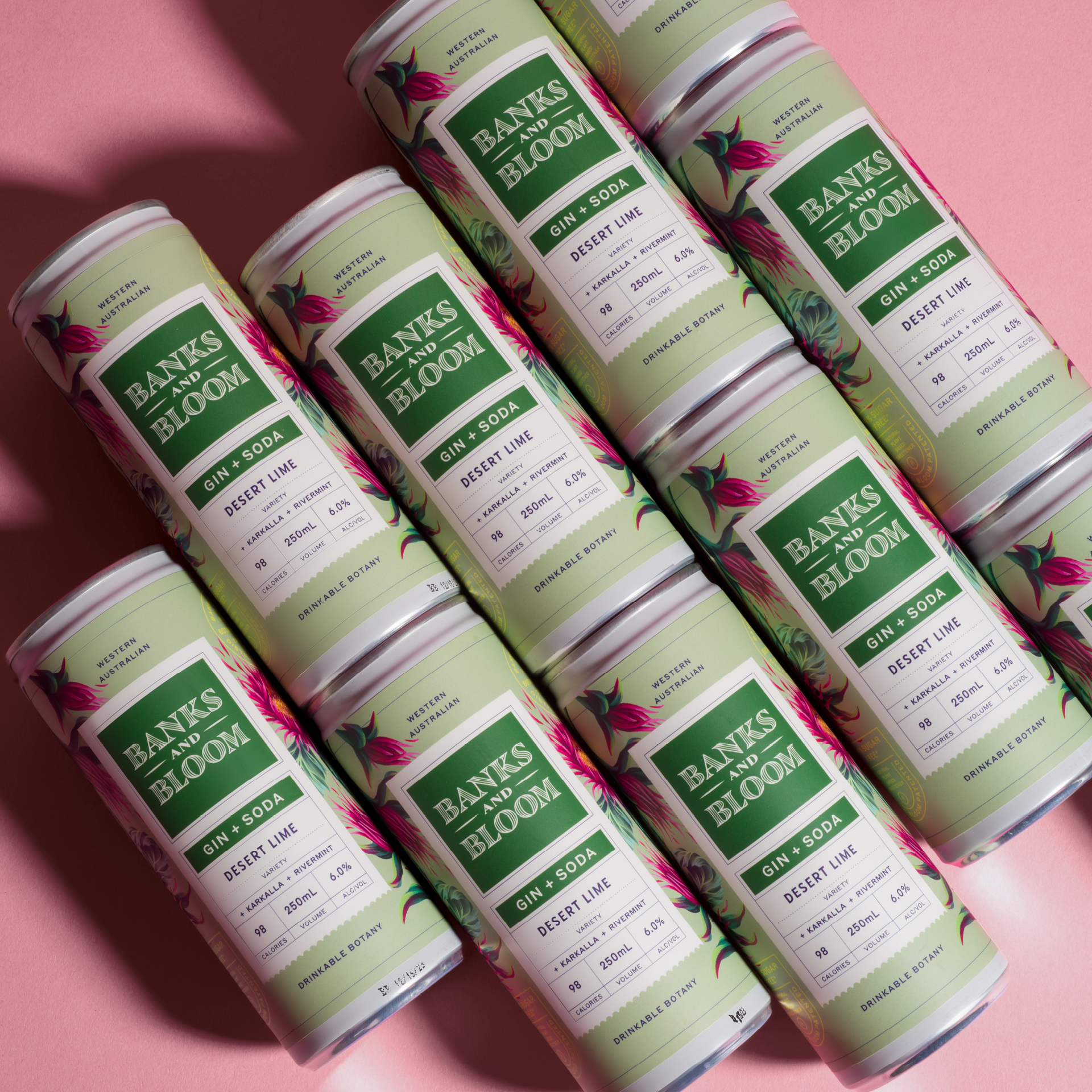 Gin + Soda Desert Lime 250mL x 24