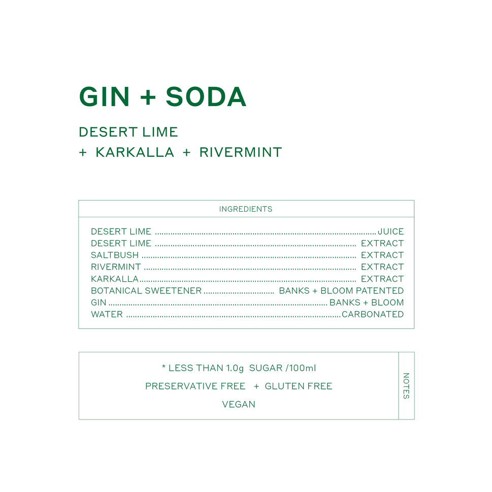Gin + Soda Desert Lime 250mL x 24