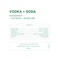 Vodka + Soda Passionfruit 250mL x 24