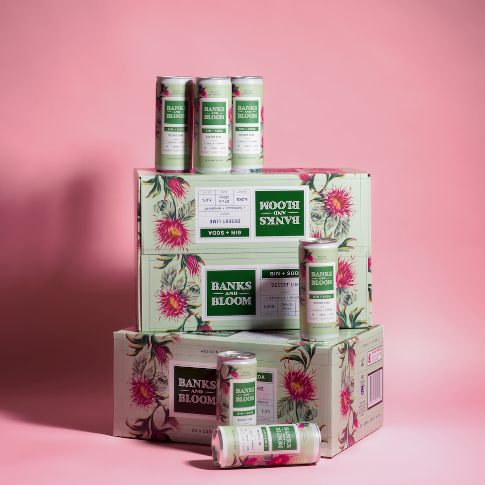Gin + Soda Desert Lime 250mL x 24